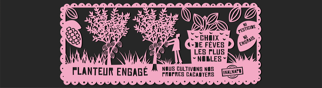 BeussentLachelle_illustrations