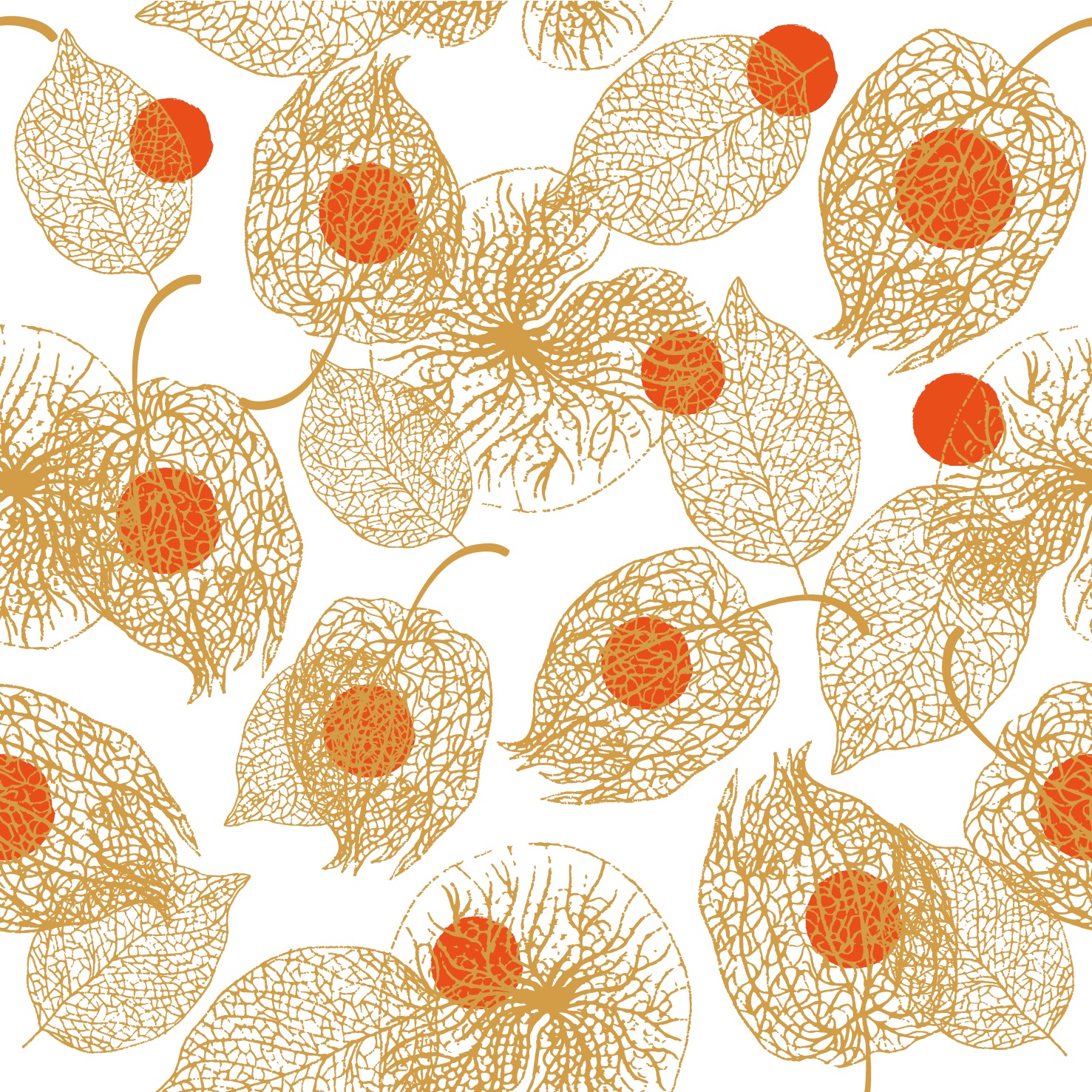 Physalis_pattern