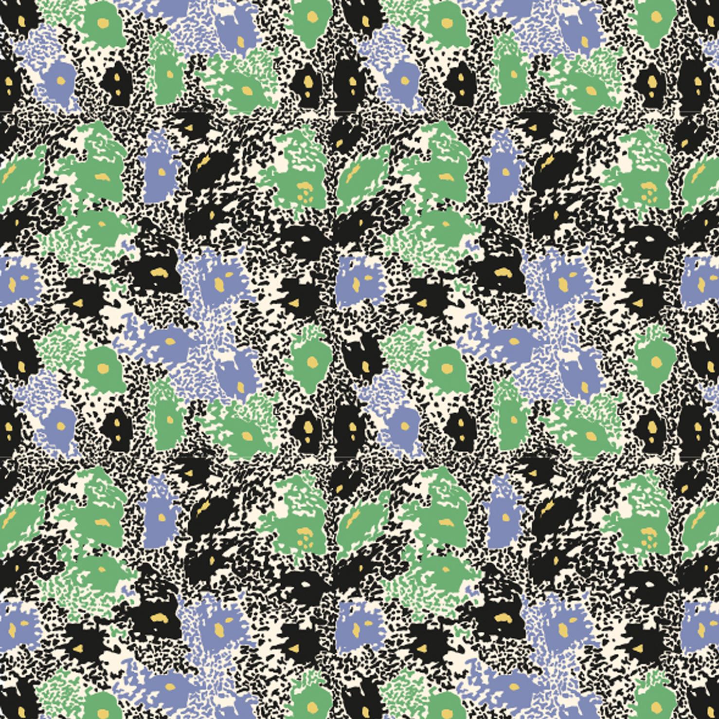 Ferns_1